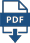 pdf icon30